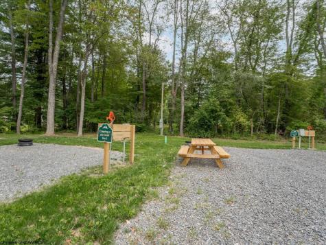 178 Palmer Drive Bruceton Mills WV 26525