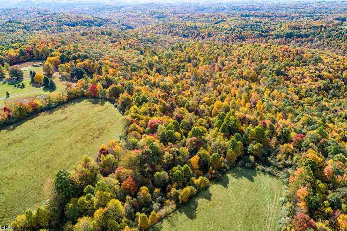 17688 Veterans Memorial Highway Kingwood WV 26537
