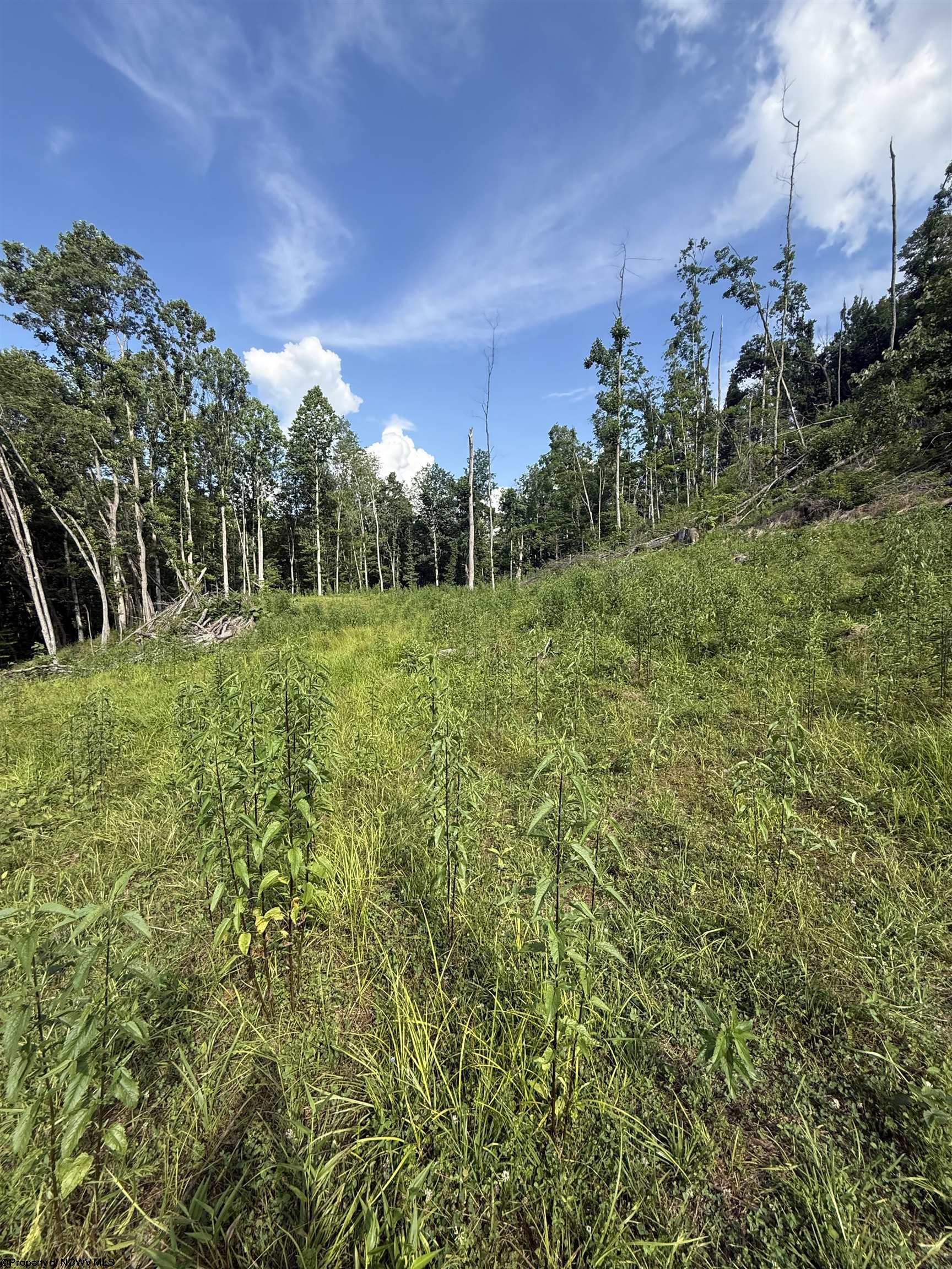 0 Knights Fork Road West Union WV 26456
