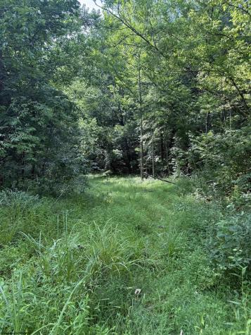 0 Knights Fork Road West Union WV 26456