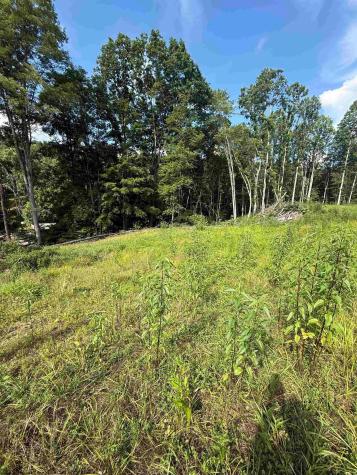 0 Knights Fork Road West Union WV 26456
