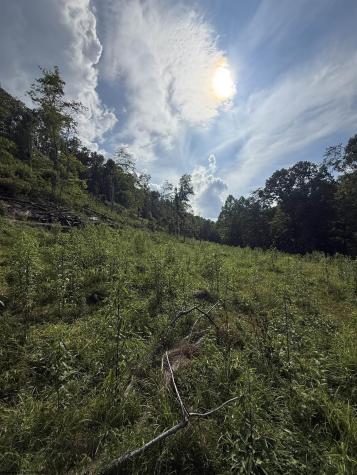 0 Knights Fork Road West Union WV 26456