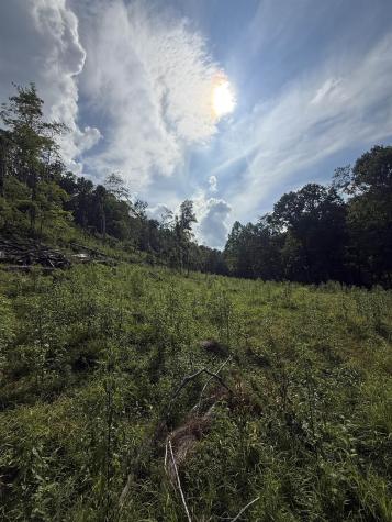0 Knights Fork Road West Union WV 26456