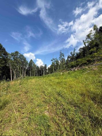 0 Knights Fork Road West Union WV 26456