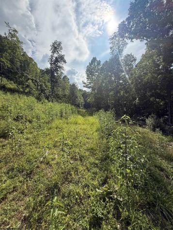 0 Knights Fork Road West Union WV 26456