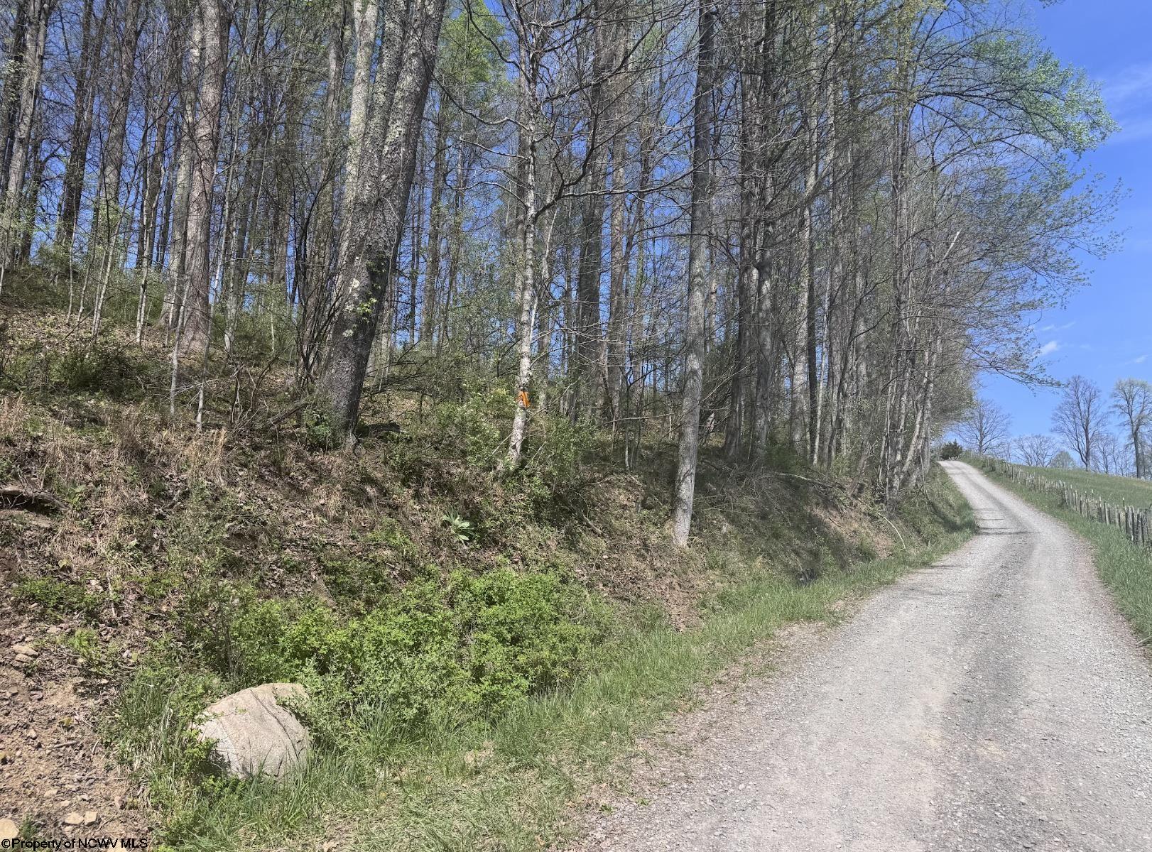 1 White Road Moatsville WV 26405