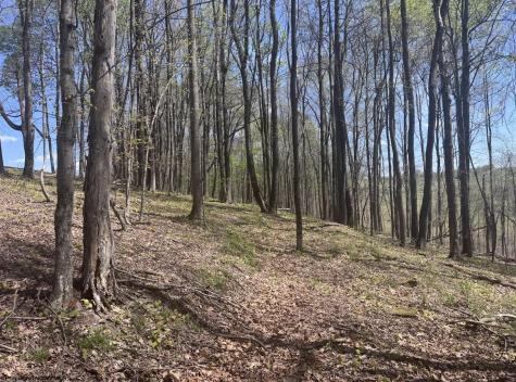 1 White Road Moatsville WV 26405