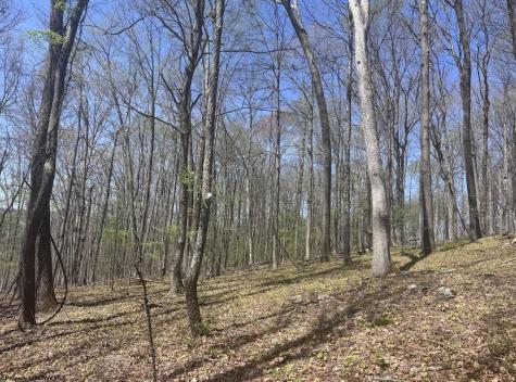 1 White Road Moatsville WV 26405
