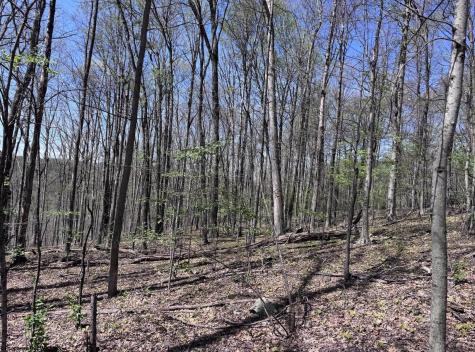1 White Road Moatsville WV 26405