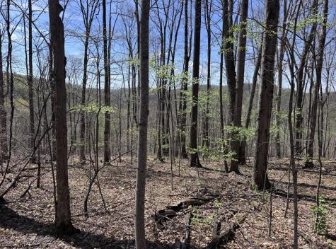 1 White Road Moatsville WV 26405