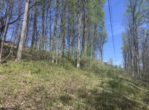 1 White Road Moatsville WV 26405