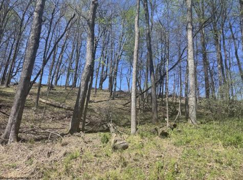 1 White Road Moatsville WV 26405