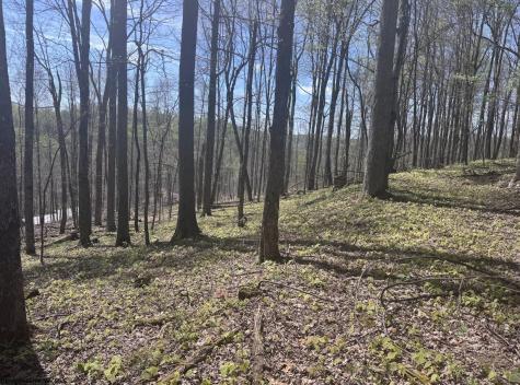 1 White Road Moatsville WV 26405