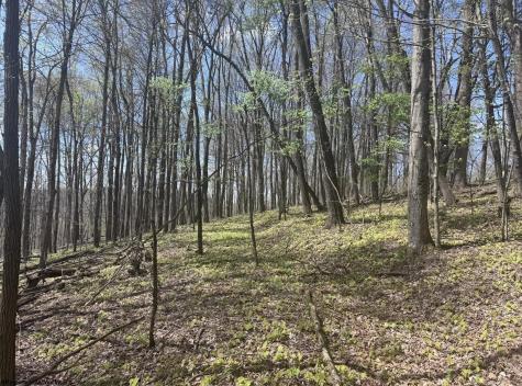 1 White Road Moatsville WV 26405