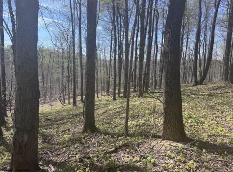 1 White Road Moatsville WV 26405