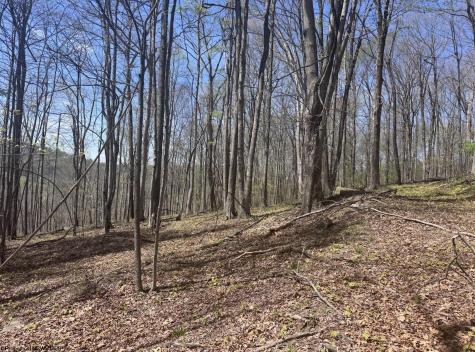 1 White Road Moatsville WV 26405