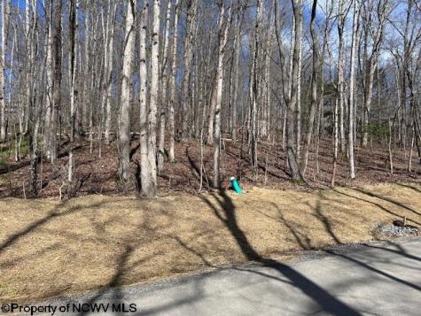 30 Woodland Drive Beverly WV 26241