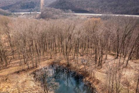 0 Coopers Rock Drive Bruceton Mills WV 26525