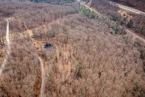 0 Coopers Rock Drive Bruceton Mills WV 26525