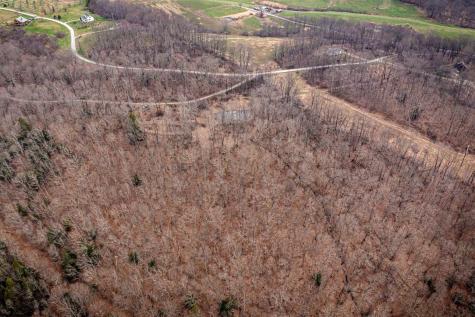 0 Coopers Rock Drive Bruceton Mills WV 26525