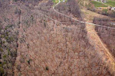 0 Coopers Rock Drive Bruceton Mills WV 26525