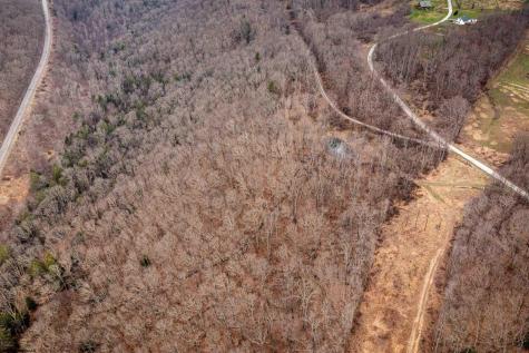 0 Coopers Rock Drive Bruceton Mills WV 26525
