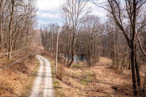 0 Coopers Rock Drive Bruceton Mills WV 26525
