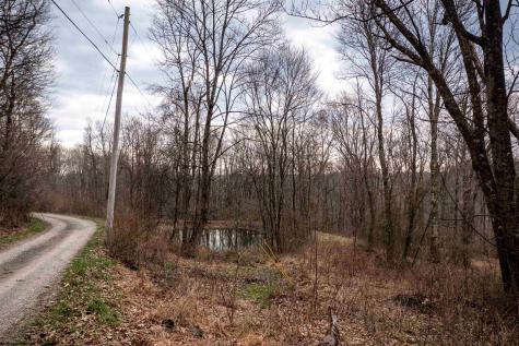0 Coopers Rock Drive Bruceton Mills WV 26525