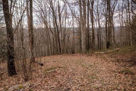 0 Coopers Rock Drive Bruceton Mills WV 26525