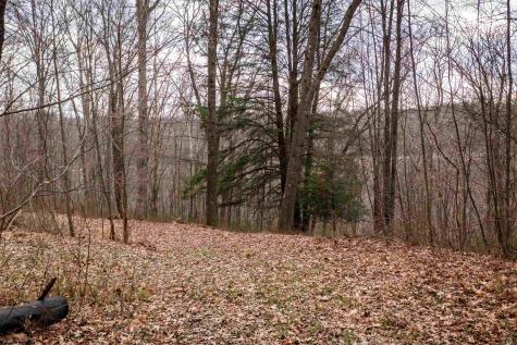 0 Coopers Rock Drive Bruceton Mills WV 26525