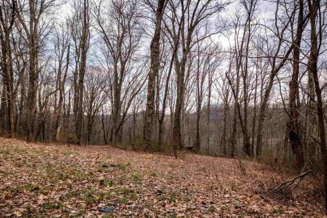 0 Coopers Rock Drive Bruceton Mills WV 26525
