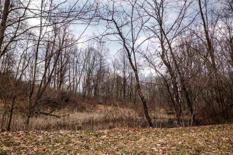 0 Coopers Rock Drive Bruceton Mills WV 26525