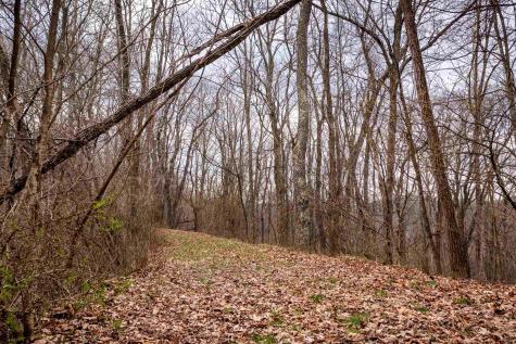 0 Coopers Rock Drive Bruceton Mills WV 26525