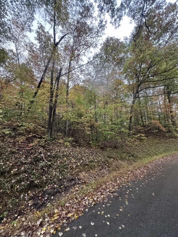 0 Coon Creek Road Camden On Gauley WV 26208-0001