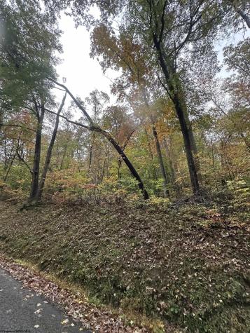 0 Coon Creek Road Camden On Gauley WV 26208-0001