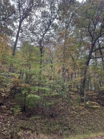 0 Coon Creek Road Camden On Gauley WV 26208-0001