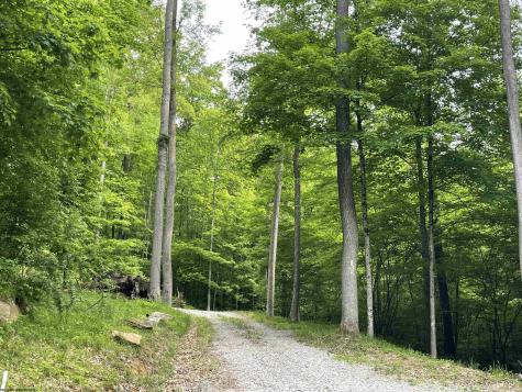 1845 Whitewater Parkway Road Bruceton Mills WV 26525