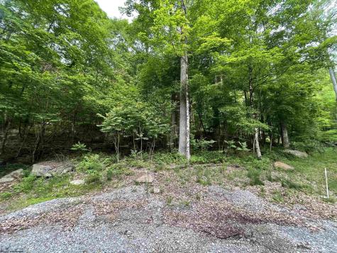 1845 Whitewater Parkway Road Bruceton Mills WV 26525