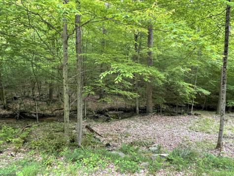 1845 Whitewater Parkway Road Bruceton Mills WV 26525