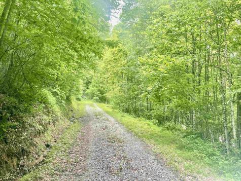 1845 Whitewater Parkway Road Bruceton Mills WV 26525