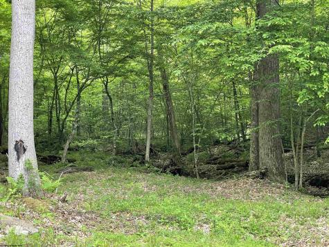 1845 Whitewater Parkway Road Bruceton Mills WV 26525