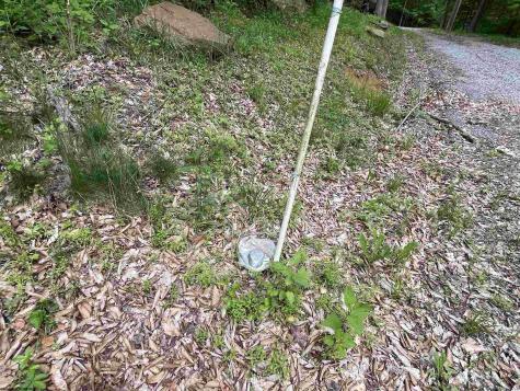 1845 Whitewater Parkway Road Bruceton Mills WV 26525