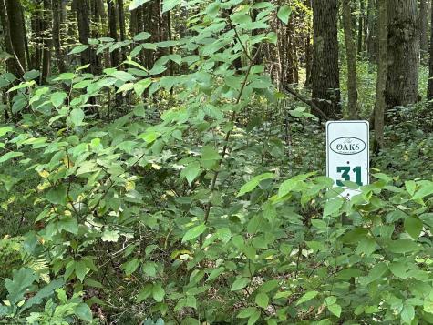 31 Oak Drive Albright WV 26519