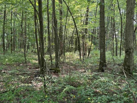 31 Oak Drive Albright WV 26519