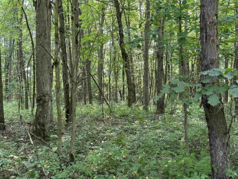 31 Oak Drive Albright WV 26519