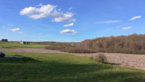 34 Meadow Lark Drive Bruceton Mills WV 26525