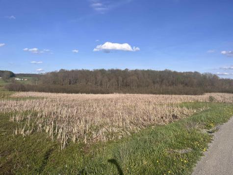 34 Meadow Lark Drive Bruceton Mills WV 26525