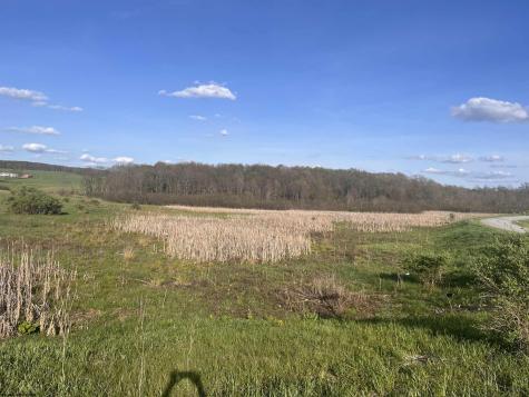 34 Meadow Lark Drive Bruceton Mills WV 26525