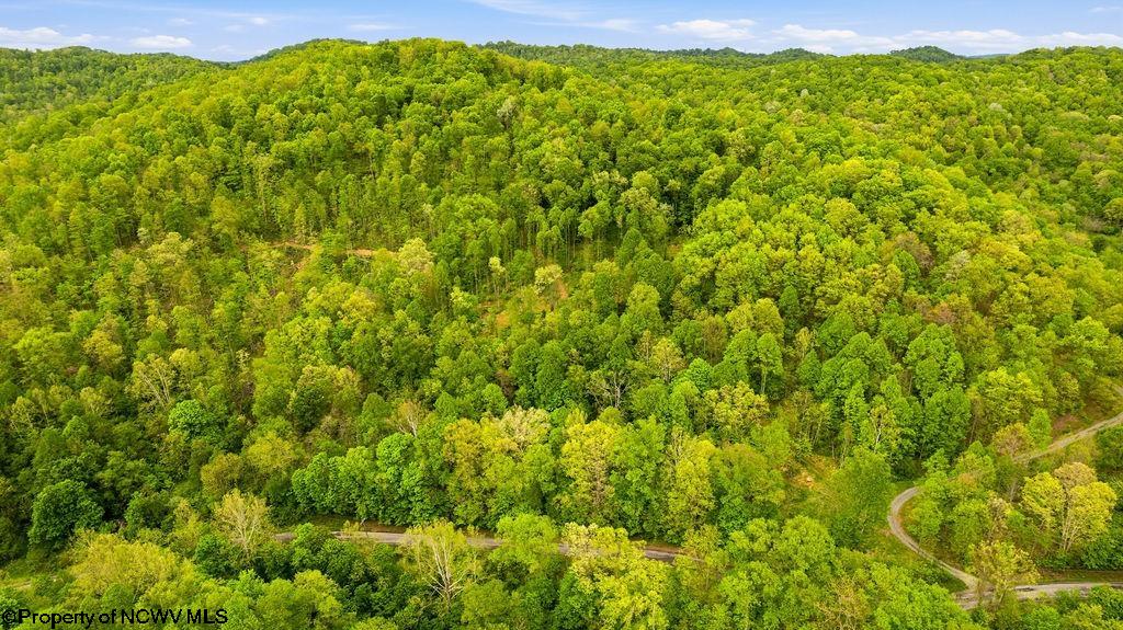 0 Rock Camp Road Wallace WV 26448