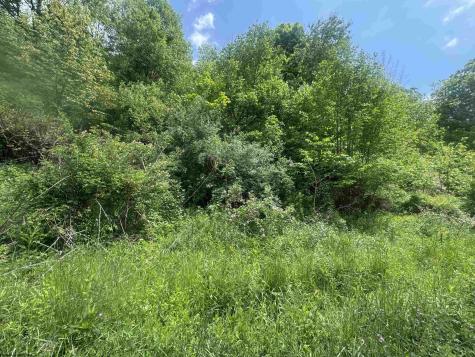 0 Rock Camp Road Wallace WV 26448